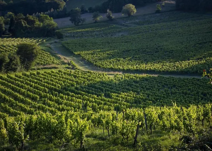 Feriehus Escape Wine & Calm